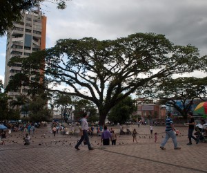 Plaza de los Libertadores. Fuente: Flickr.com Por: Arttesano