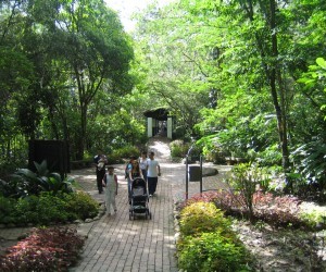 Parque el Gallineral. Fuente: Panoramio